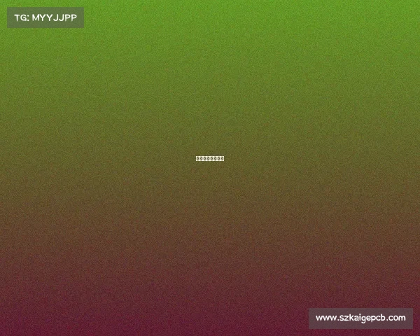 华数频道在线直播