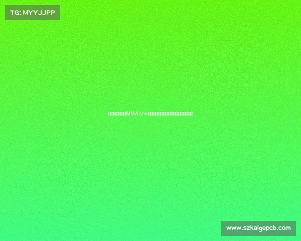 激情燃烧格斗场MMA one赛事顶尖高手巅峰对决荣耀加冕热血沸腾