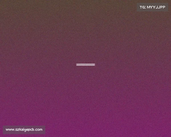 篮球罗伊赛事、罗伊打球视频