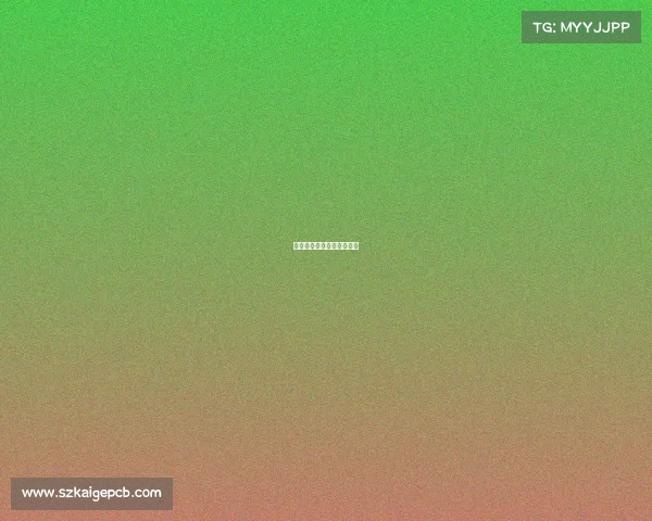 西安田径赛事—西安田径队