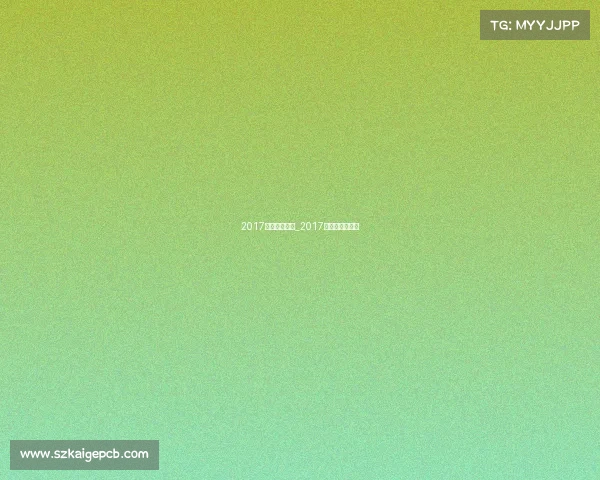 2017赛车国际赛事_2017年赛车翻车事故